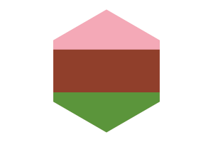 Gynosexual Flag Hexagon Shape flag