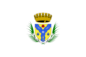 Flag of Sherbrooke flag