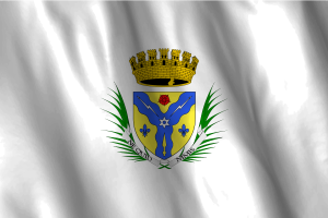 National Flag of Sherbrooke flag