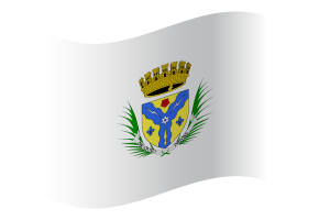 Sherbrooke Flag flag