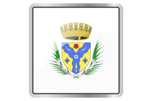 Sherbrooke Flag Square icon flag