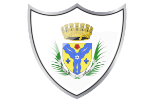 Shield with Flag of Sherbrooke flag