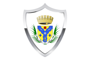 Sherbrooke Flag with Medieval Heater Shield flag