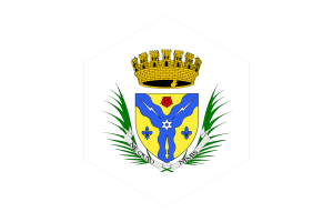 Sherbrooke Flag Hexagon Shape flag