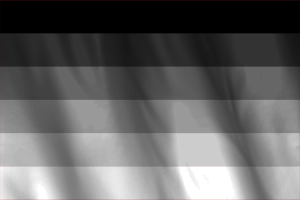 National Flag of Gynosexual flag