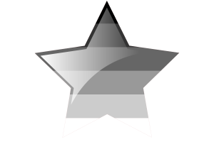 Gynosexual Flag Star Icon flag