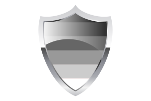 Gynosexual Flag with Medieval Heater Shield flag