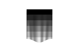 Gynosexual Flag Banner flag