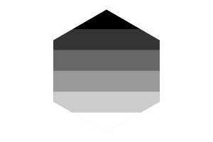 Gynosexual Flag Hexagon Shape flag