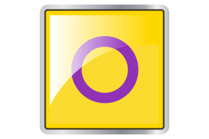 Intersex Flag Square icon flag