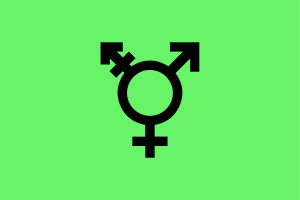 Flag of Israeli Transgender flag