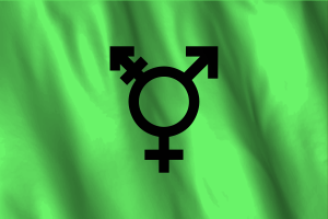 National Flag of Israeli Transgender flag