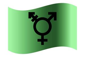 Israeli Transgender Flag flag