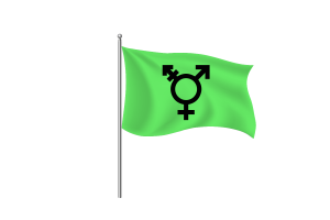 Israeli Transgender Flag symbol flag