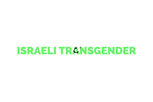 Israeli Transgender Text Art flag