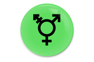 Israeli Transgender Flag Vector Art flag