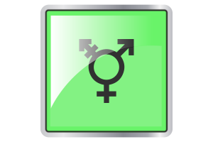 Israeli Transgender Flag Square icon flag