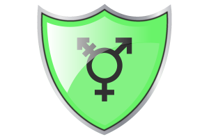 Shield with Flag of Israeli Transgender flag