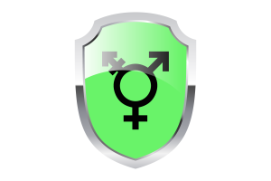 Israeli Transgender Shield Logo flag