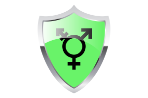 Israeli Transgender Flag with Medieval Heater Shield flag