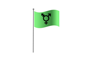 Waving Flag of Israeli Transgender flag