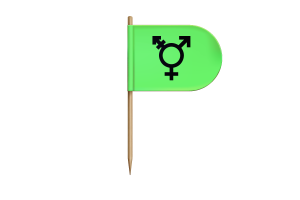 Israeli Transgender Flag for Desk, Table flag