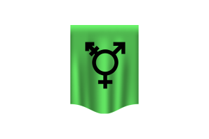 Israeli Transgender Flag Banner flag