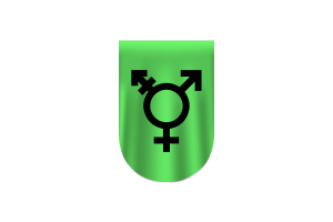 Israeli Transgender Flag Vector Free Dowanlod (SVG, PNG) flag