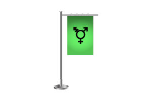 3d Israeli Transgender Standing Flag flag