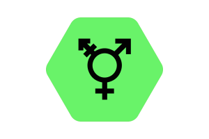 Israeli Transgender Flag Vector Illustration flag