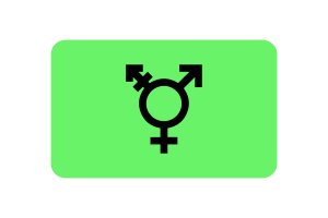 Israeli Transgender Flag rounded Rectangle Vector Illustration flag