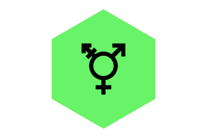Israeli Transgender Flag Hexagon Shape flag
