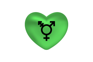 Love of Israeli Transgender Heart Shape flag