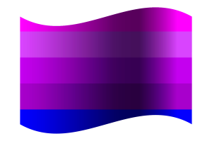 Jennifer Pellinen's Transgender Flag flag