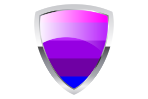 Jennifer Pellinen's Transgender Shield Flag flag
