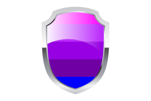 Jennifer Pellinen's Transgender Shield Logo flag