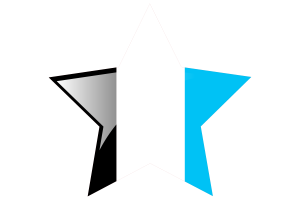 Mascic Flag Star Icon flag