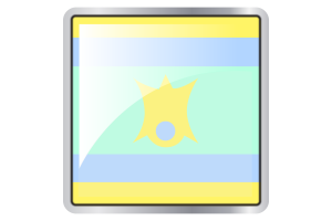 Nofinsexual Flag Square icon flag