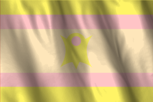 National Flag of Nominsexual flag