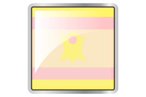 Nominsexual Flag Square icon flag