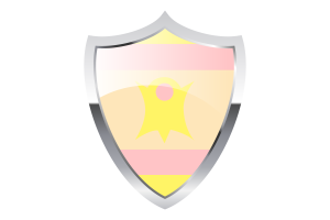 Nominsexual Flag with Medieval Heater Shield flag