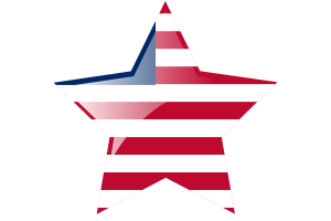 Betsy Ross Flag Star Icon flag