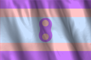 Flaga Narodowa Noninsexual flag