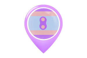 Ikona Pinezki Flagi Noninsexual flag