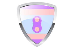 Flaga tarczy Noninsexual flag