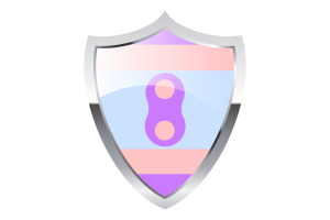 Flaga Noninsexual z średniowieczną tarczą grzewczą flag