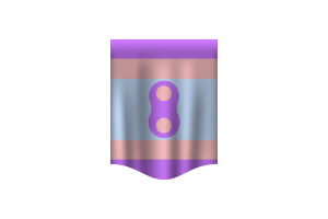 Baner flagi Noninsexual flag