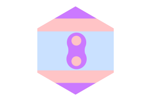 Flaga Noninsexual w kształcie heksagonu flag