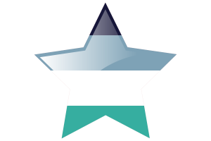 Oriented Aroace Flag Star Icon flag