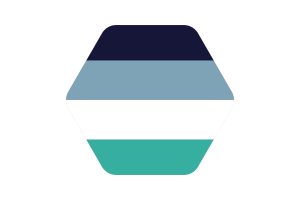 Oriented Aroace Flag Vector Illustration flag